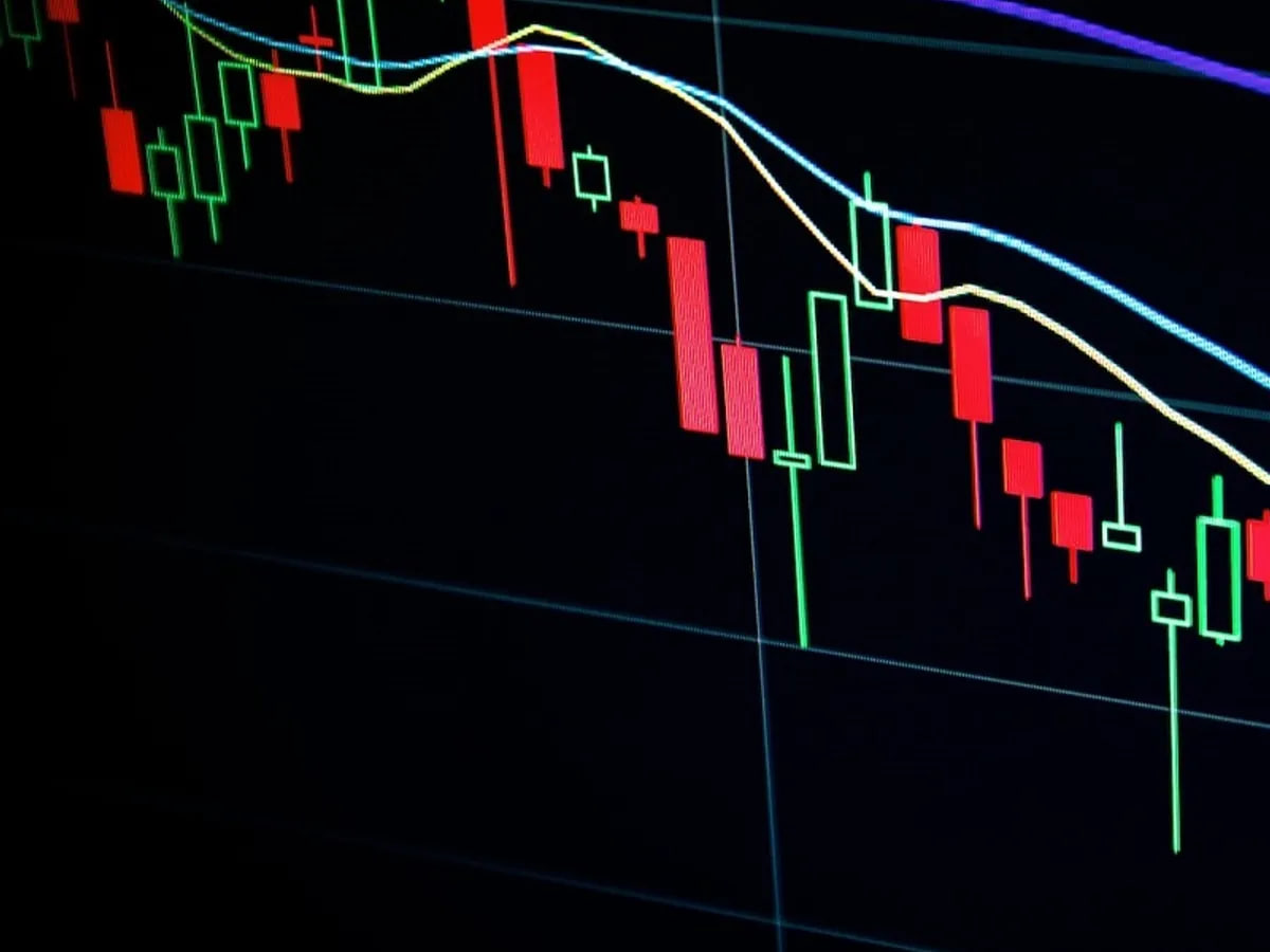 杠杆实盘 2024年全国主要批发市场海水蟹价格行情